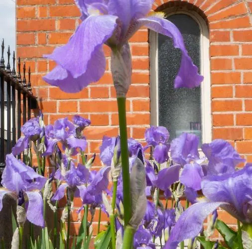 Botanic View Bed and breakfast