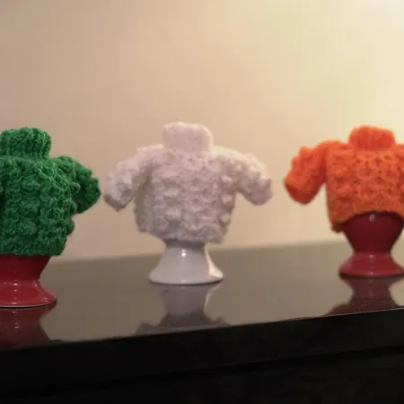 Nocleg ze śniadaniem Botanic View