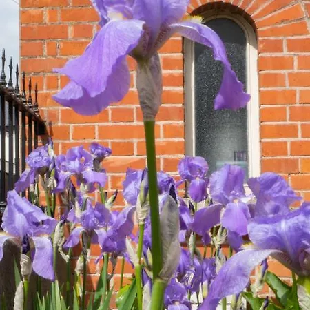 Botanic View Bed and breakfast